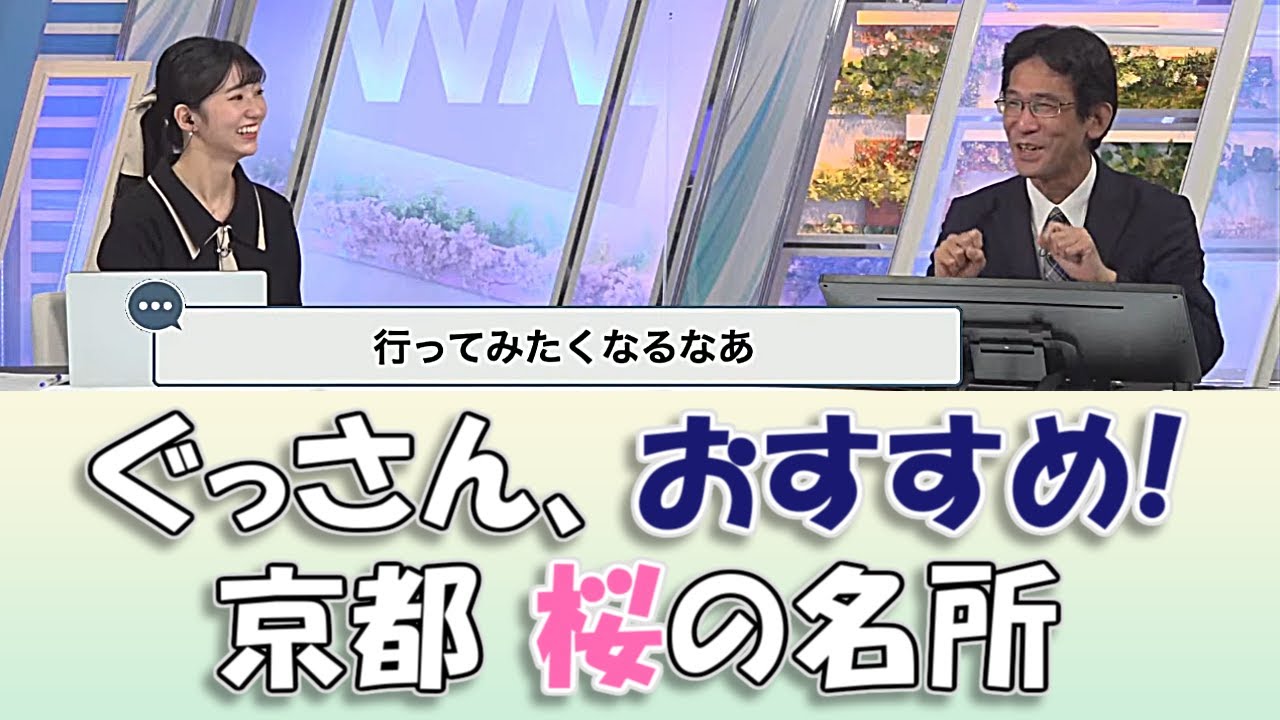 【大島璃音&山口剛央】山口さんおすすめ! 知る人ぞ知る京都の桜の名所【ウェザーニュースLIVE切り抜き】