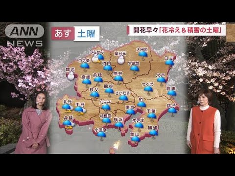【関東の天気】真冬並み　咲いた桜に試練の寒さ(2023年3月17日)