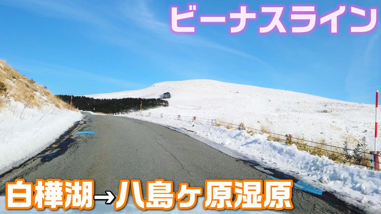 【ビーナスライン】真冬に楽しむ標高2,000mドライブ🚙通行止めはどこからどこまで？！白樺湖～八島ヶ原湿原【アクセスMAP付き・4K・長野移住／旬旅】
