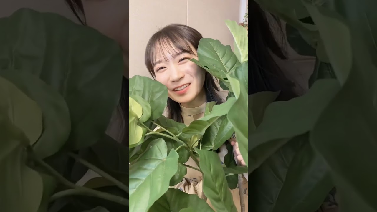 ひょつこりまなぴょん #乃木坂46 #秋元真夏 #ひょっこりまなつ