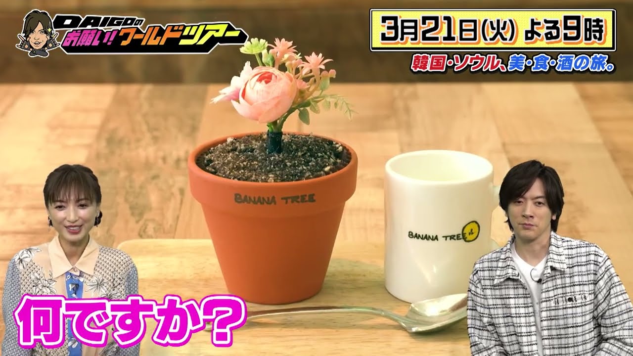 望月理恵×ソウル【DAIGOのお願い！ワールドツアー】3月21日（火）夜9時放送
