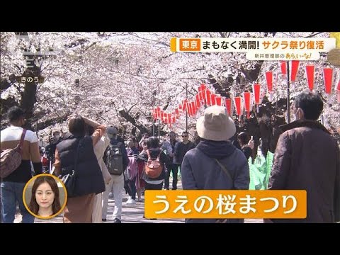 4年ぶり！行動制限なしのお花見情報　“静かに桜楽しむ”オススメ3選も【あらいーな】(2023年3月21日)
