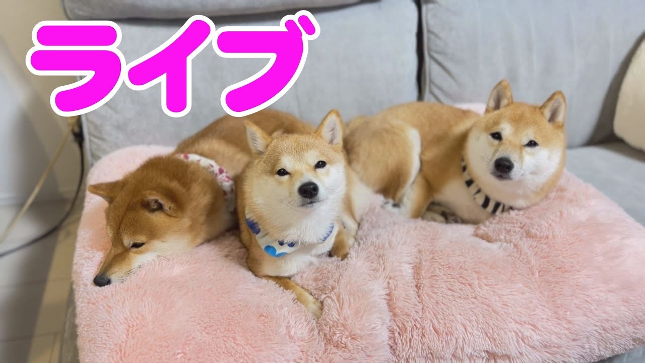 ご報告などがあります。