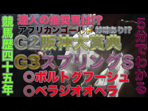 伝説の馬券師マサさん♯72[2023年阪神大賞典&スプリングS[達人競馬予想］