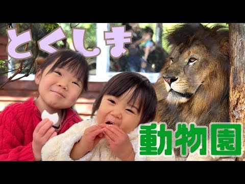 とくしま動物園にいったよ　おでかけ　どうぶつえん　徳島動植物園　観光
