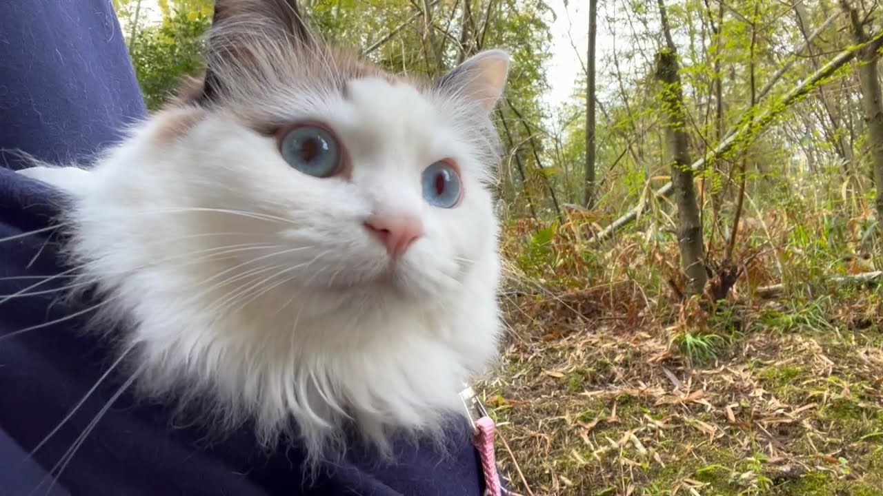 レオくんのことをすーちゃんはちびっ子と冷静に認識してるようです