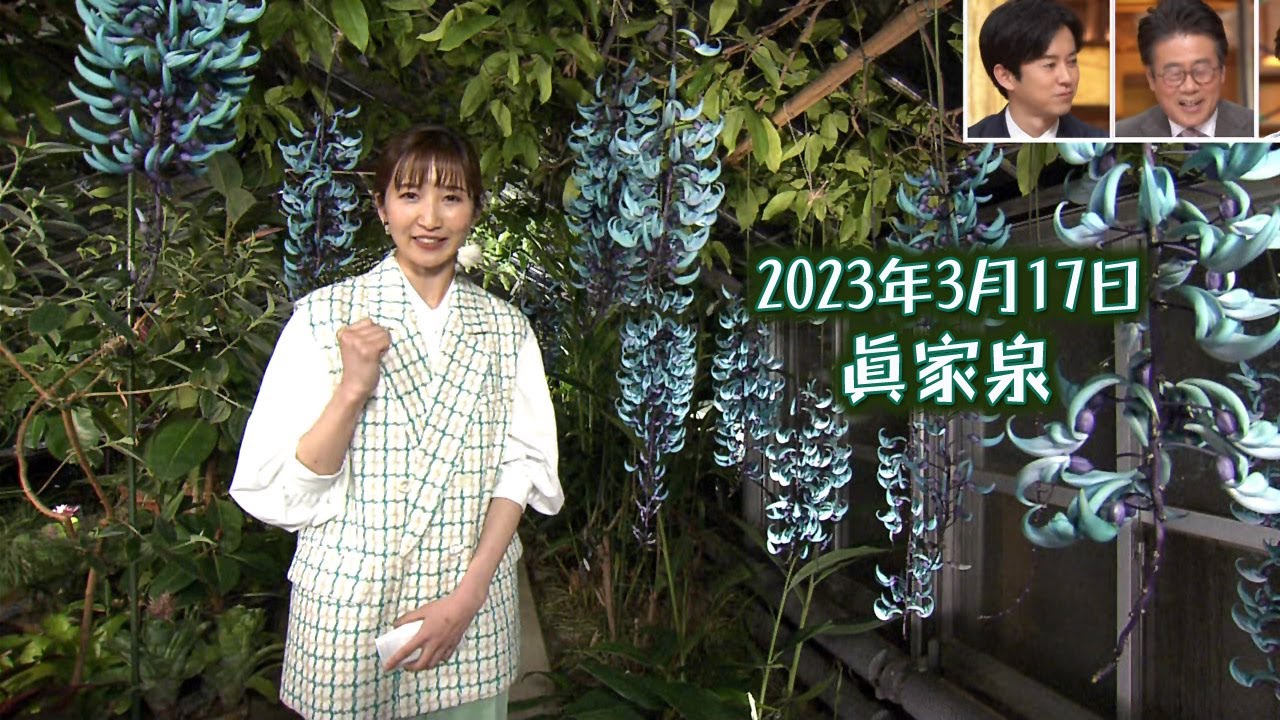 2023年3月17日 眞家泉