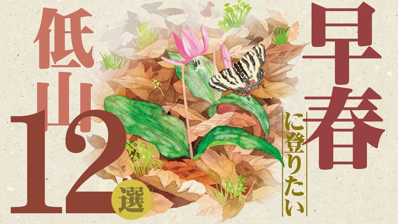 【早春におすすめの低山12選 】春の訪れを告げる花 “スプリング・エフェメラル” に出会える山を紹介します！　登山ガイド・写真家・山岳ライターなど、全国各地の山を知る方々に厳選していただきました。
