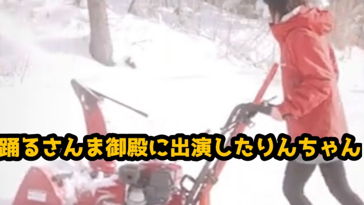 踊るさんま御殿　りんちゃん