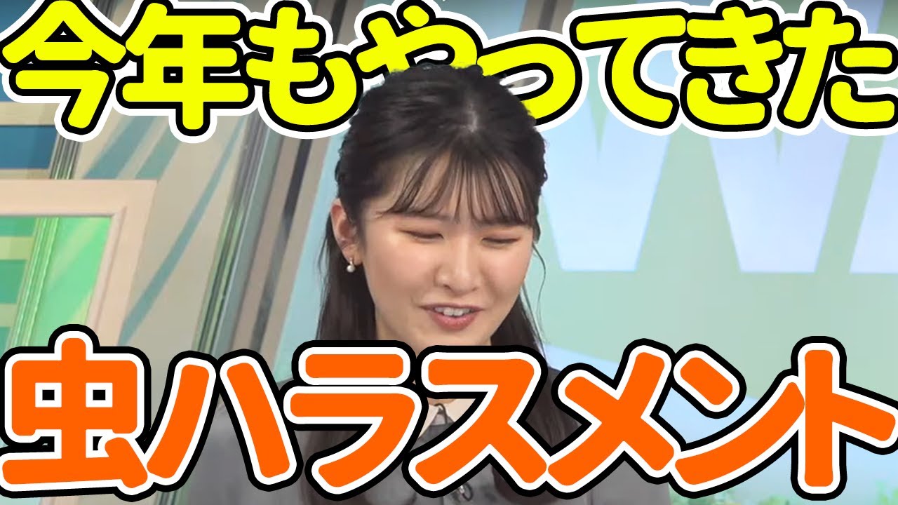 【駒木結衣】視聴者から虫ハラスメントを受けるおゆい【ウェザーニュース切り抜き】