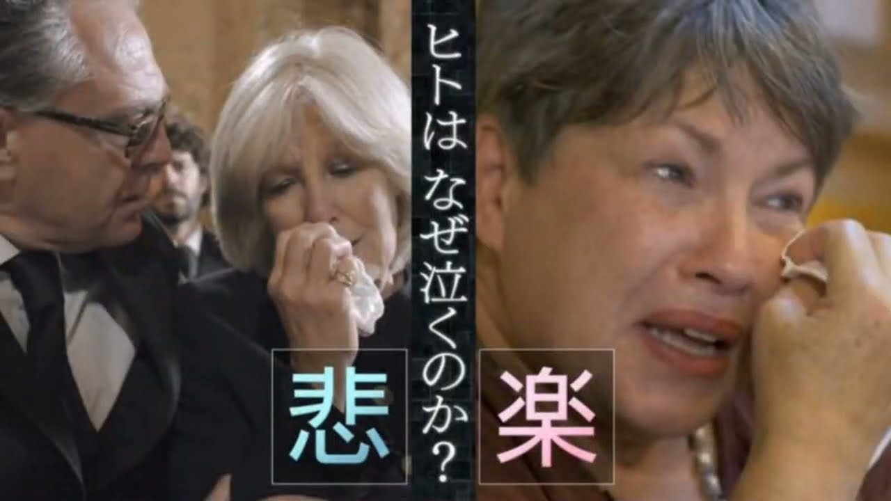 【見逃した人に！】ヒューマニエンスQ (涙) nhk 動画 再放送 2023年3月20日フル無料視聴