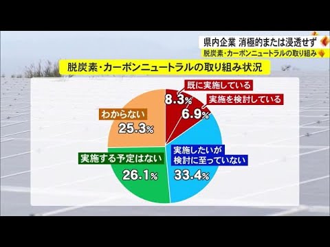 県内企業のカーボンニュートラルの取り組み「消極的または浸透せず」（沖縄テレビ）2023/2/7