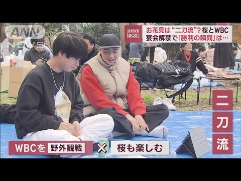 お花見も“二刀流”宴会解禁で「桜」×「WBC観戦」(2023年3月21日)