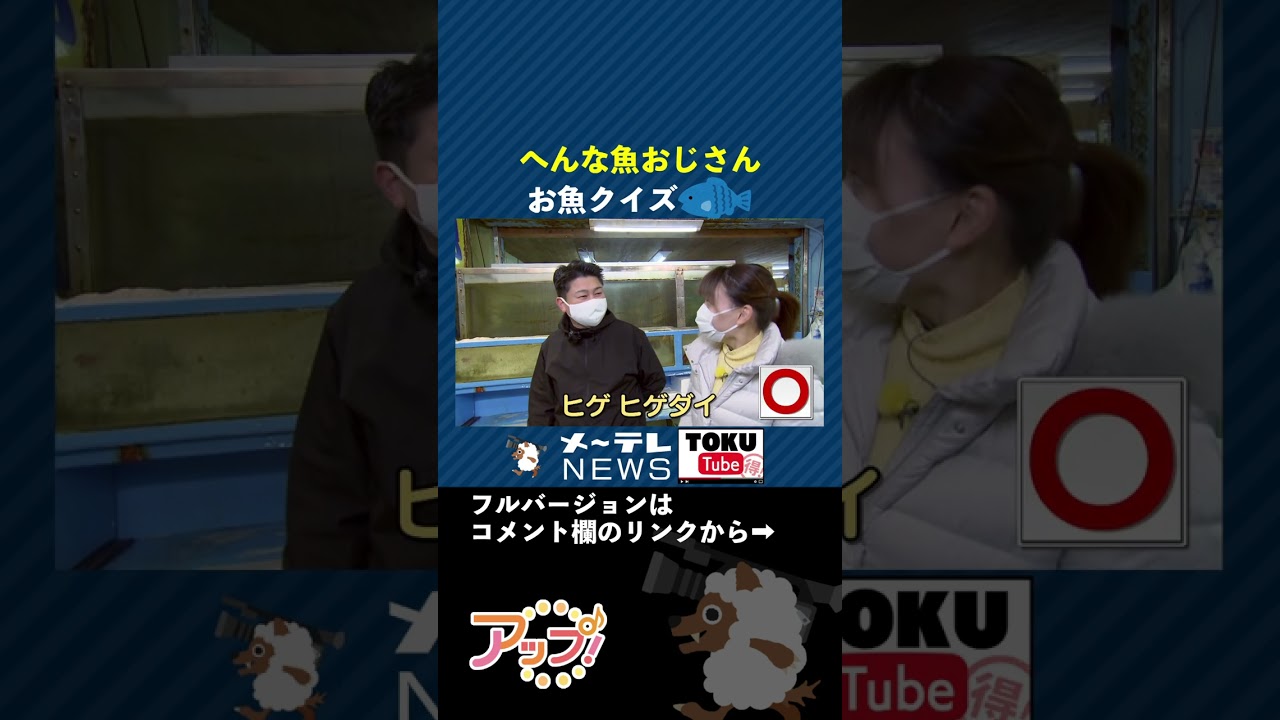 【お魚クイズ】へんな魚おじさん登場！本編はコメント欄から　#へんな魚おじさん #tokutube #アップ