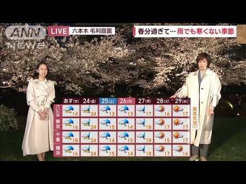 【関東の天気】あす満開の桜に雨　本降りの所も(2023年3月22日)