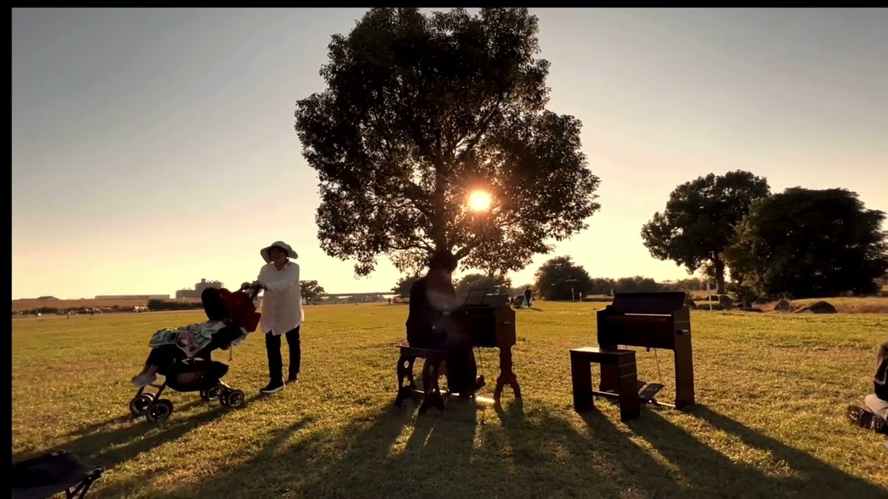 Kimitaka Kogo/El Condor Psa / Baby Organ