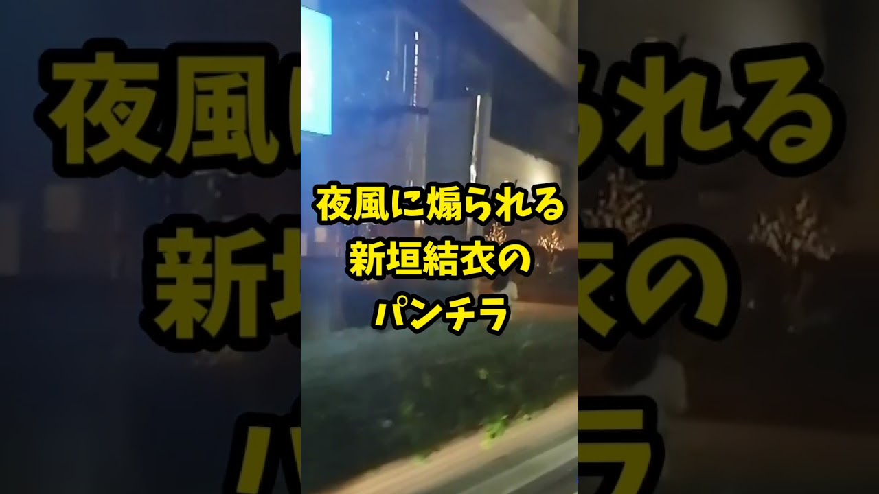 夜風に煽られる新垣結衣のパンチラ…