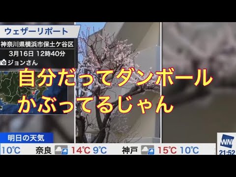 檜山沙耶　視聴者からの的確なツッコミに爆笑おさや🤣2023.3.16 ムーン