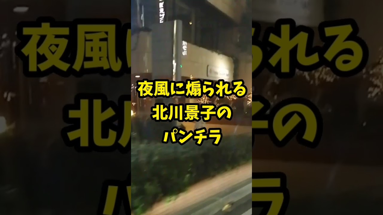 夜風に煽られる北川景子のパンチラ…