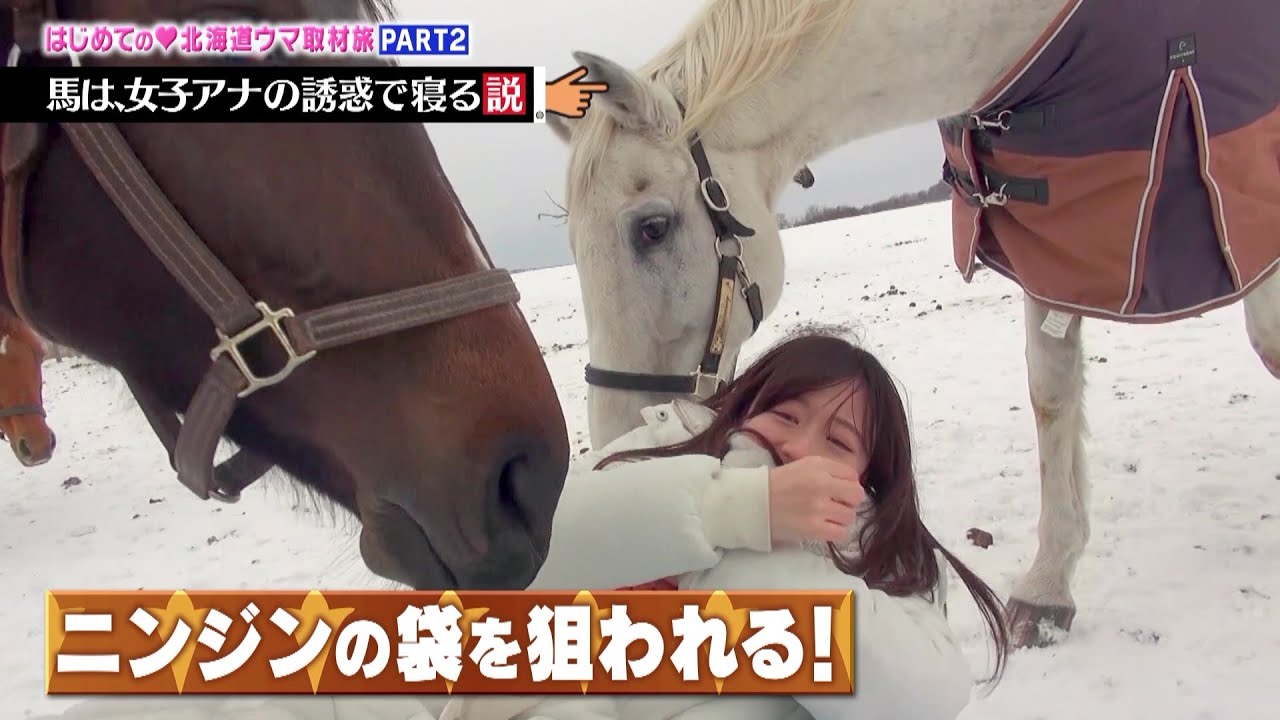 【Part.2】女子アナと馬が初めての添い寝！？｜競馬好き女子会 ＃4 森香澄アナ 北海道の牧場へ 前編
