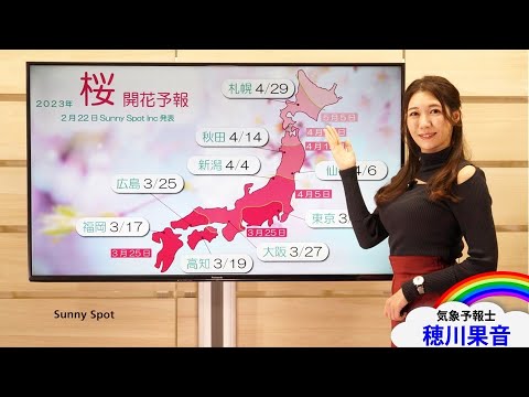 2023年第1回　桜開花予報　(解説：#気象予報士 #穂川果音)