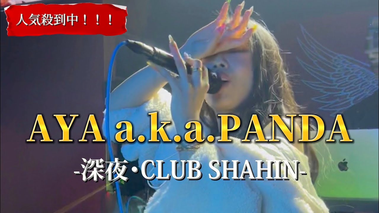 2023/02/12 “AYA.a.k.a.PANDA”【千葉/深夜LIVE】CLUB SHAHIN ※詳しくは概要欄をご覧下さい！#ayaakapanda #アヤパンダ #あやぱんだ #アヤパン