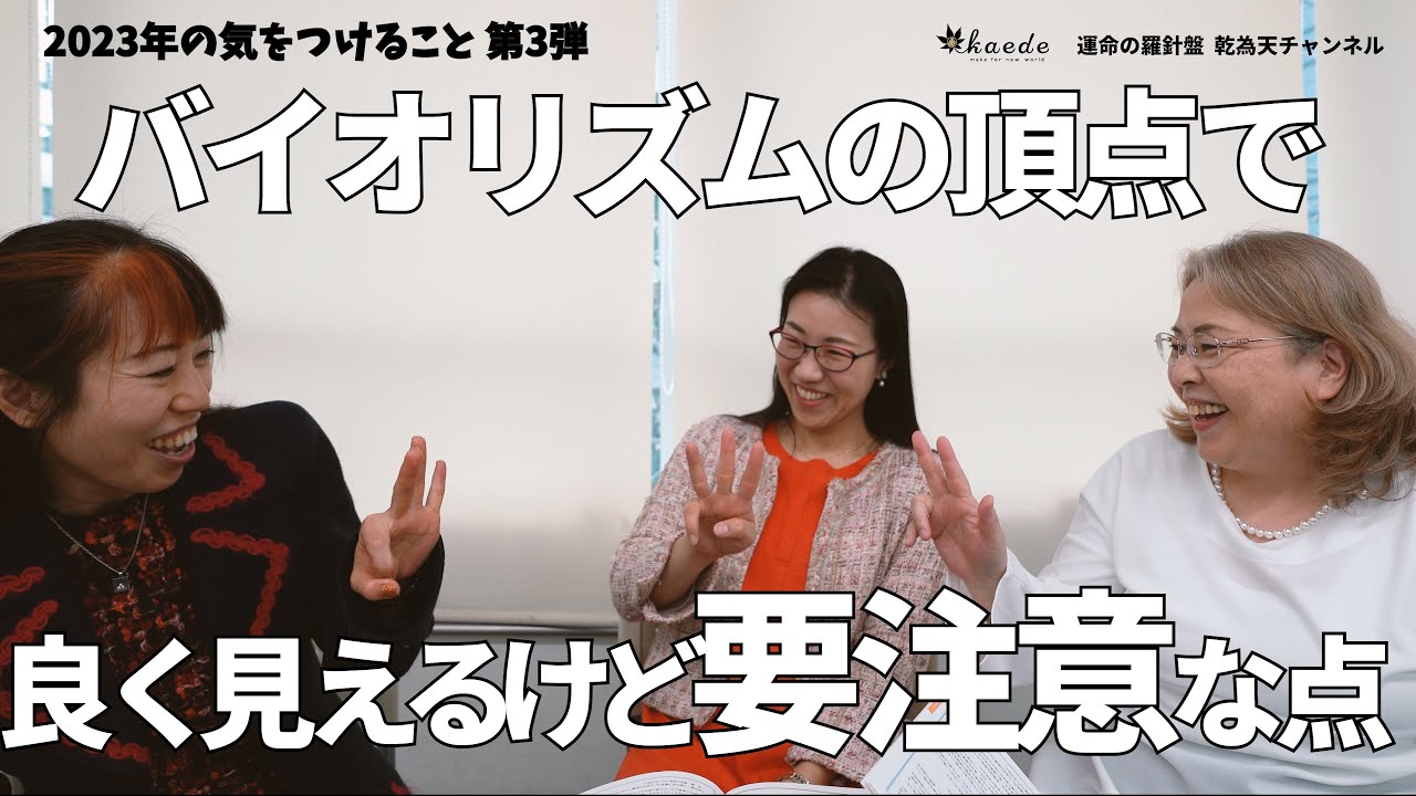 2023年の注意事項 第3弾 バイオリズムの頂点 良く見えるけど要注意な点