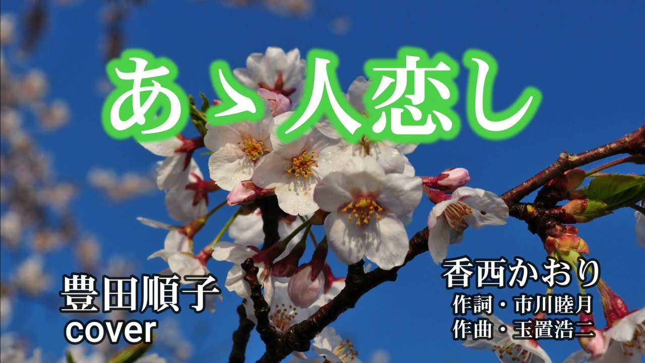 豊田順子さんcover　あゝ人恋し（春爛漫）
