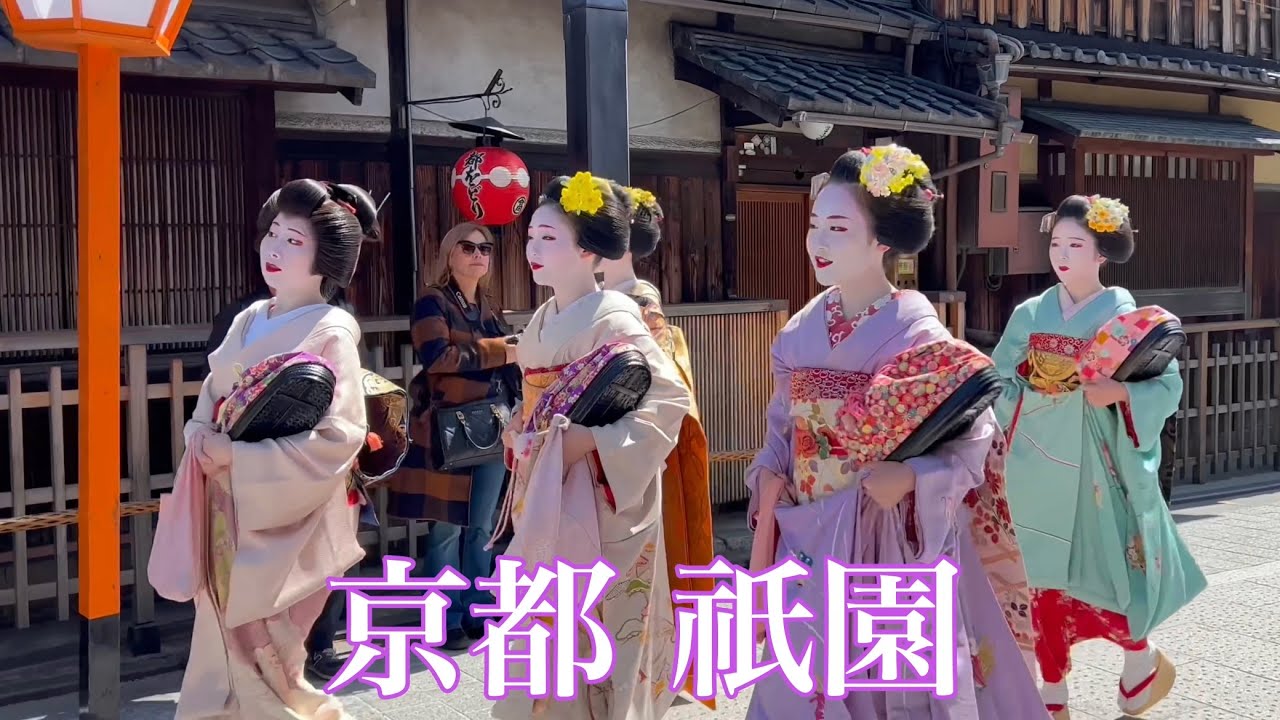 【4K】 2023年3月20日 京都祇園の一力亭に急ぐ芸舞妓さん Maiko and Geiko in Gion,Kyoto 「大石忌」
