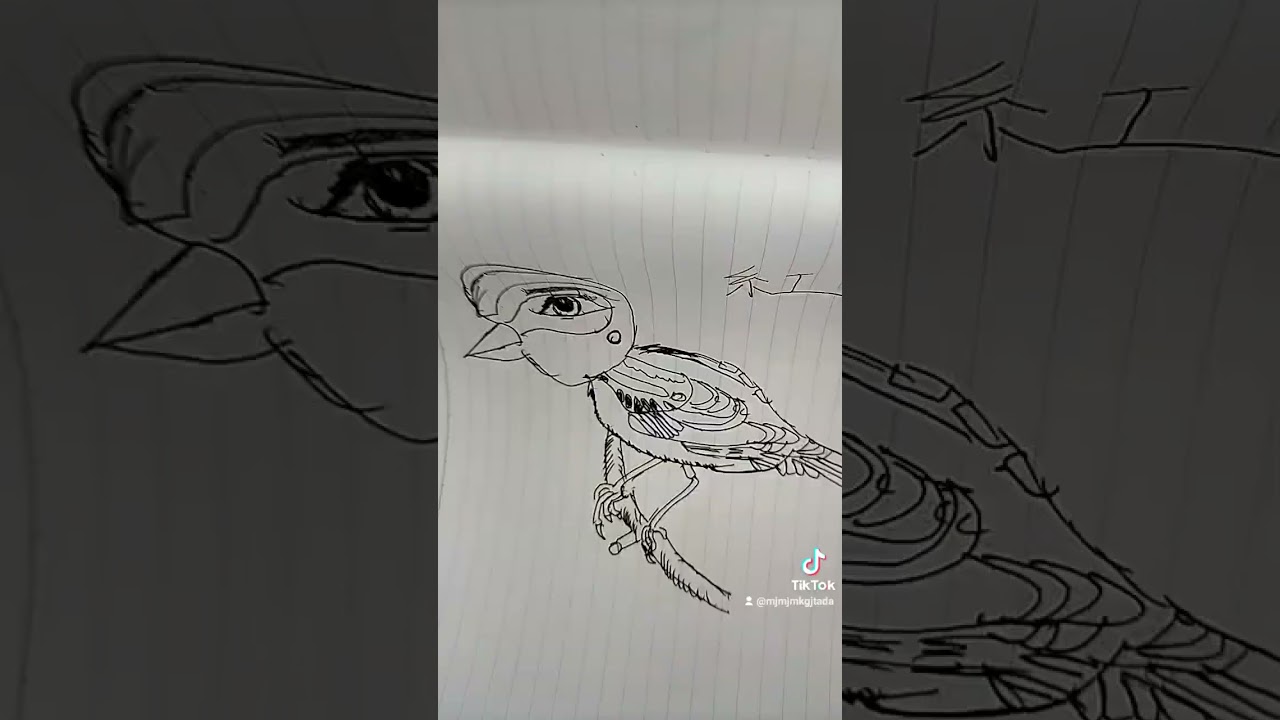 ＃竹俣紅アナウンサーイラスト