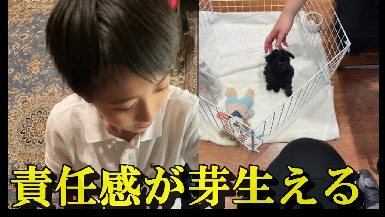 市川團十郎さん、新しく家族が増えました！