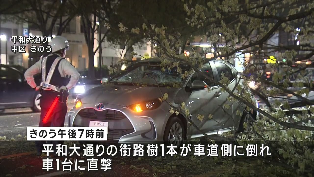平和大通りで倒木 車のフロントガラス割れる