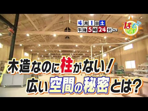 【番宣】柱がない木造建築のナゾに迫る▽なぞマチ!?2023/4/1（土）