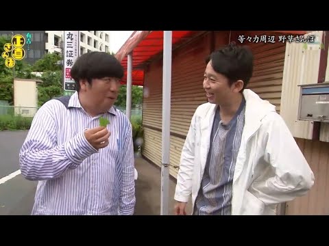 『有吉くんの正直さんぽ』 𒅒 🅷🅾🆃 ☂「等々力周辺 野草さんぽ」🏃‍♀️🏃‍♂️🏃‍♂️