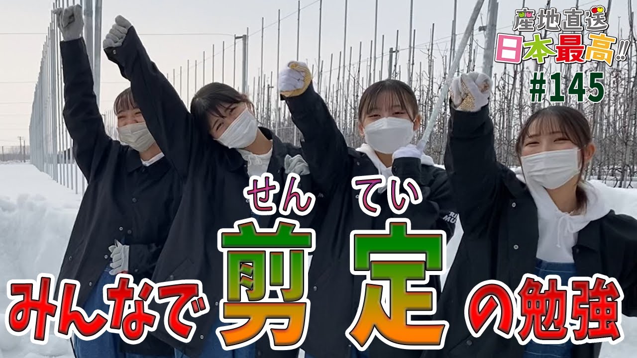 #145 「産地直送日本最高‼︎」高密植栽培の剪定を学ぼう！