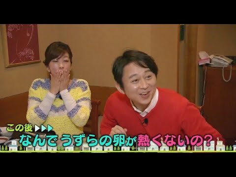 『有吉くんの正直さんぽ』 𒅒 🅷🅾🆃 ☂「なんでうずらの卵が熱くないの?」🏃‍♀️🏃‍♂️🏃‍♂️