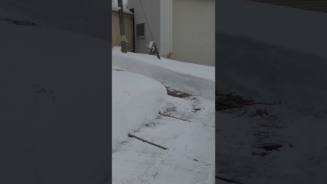 山形新幹線が通る豪雪の大沢駅 冬はヤバイので冬期休止になる前に行ってきた!