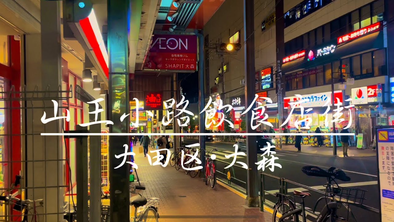 【ディープな飲屋街】山王小路飲食店街/大森