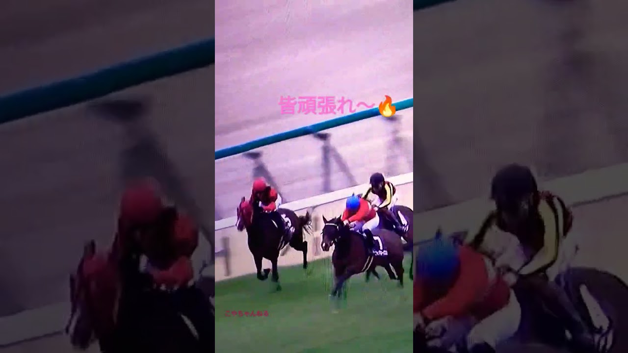 うまDOKI💥競馬実況中継💥皆頑張れ🔥ワクワク🤗20230225