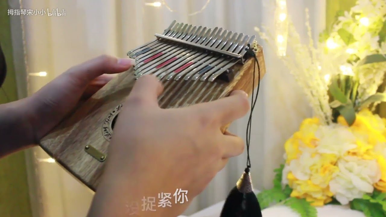 【卡林巴琴】2023 03 24 追光者