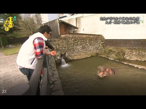 『有吉くんの正直さんぽ』 𒅒 🅷🅾🆃 ☂「自然が作り出す神秘的景 大分・別府 『地獄めぐり』」🏃‍♀️🏃‍♂️🏃‍♂️