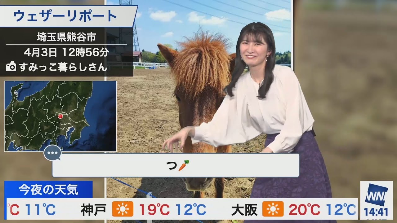 猫と話せる気がする駒木結衣キャスター