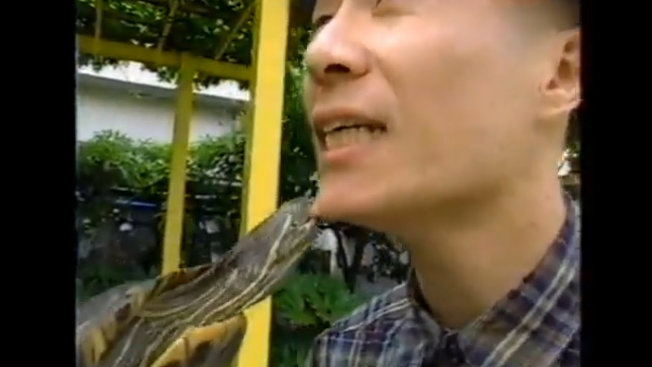 【衝撃映像‼️】高田純次のシュールな詩人に会いに行く👳スッポンの餌食に💦🤣