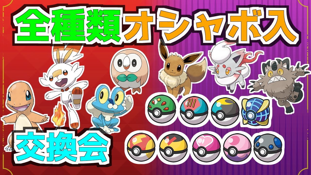 全種オシャボ入り　モクロー　ヒトカゲ　ヒバニー　ケロマツ　ヒスイゾロア　イーブイ　ガラルニャース　配布会　【ポケモンSV】