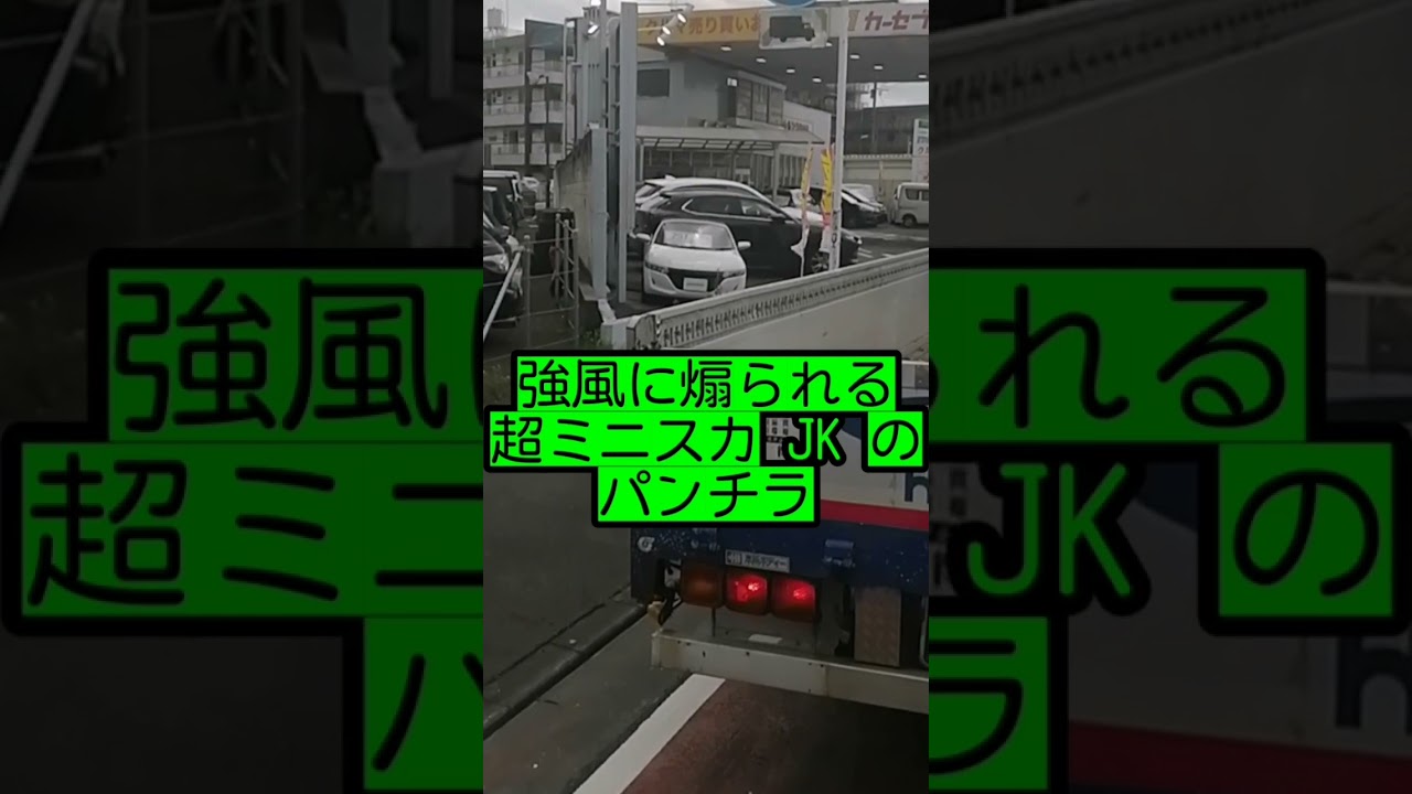 強風に煽られる超ミニスカ JKのパンチラ…