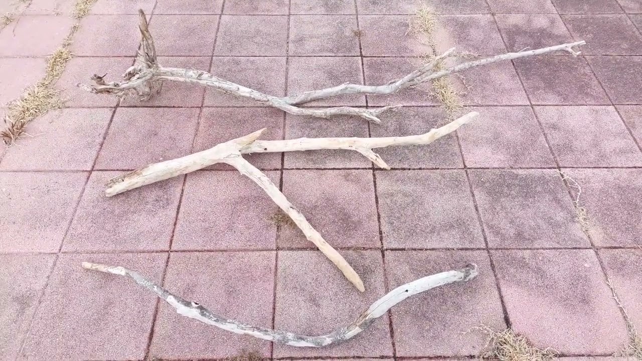 #小値賀  2023  01  29  昼  🌼  #流木拾った  #大工さんが利用する  #流木