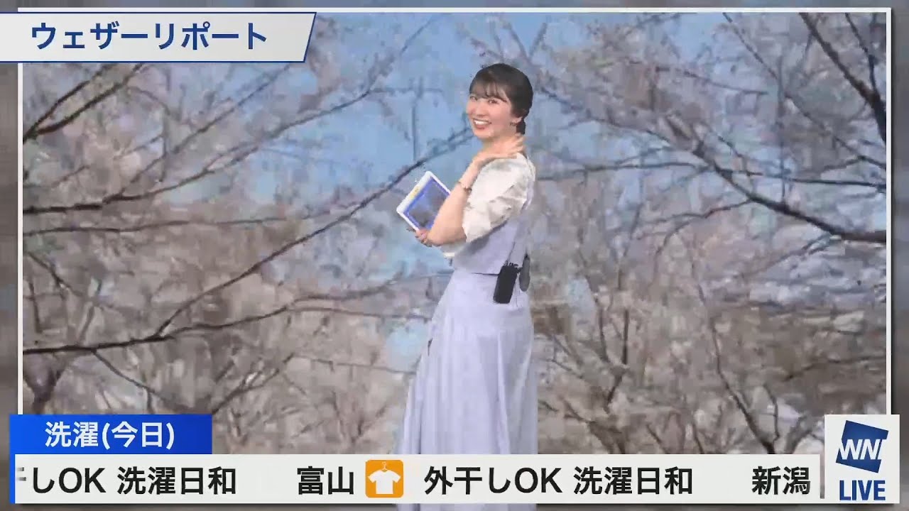 【駒木結衣】桜ガイド