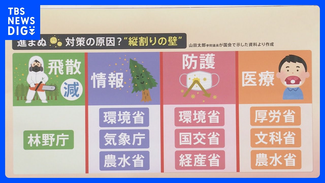 【花粉症】岸田総理、花粉症は「もはや我が国の社会問題」“花粉症対策”なぜ進まなかった?背景に“縦割りの壁”【解説】｜TBS NEWS DIG