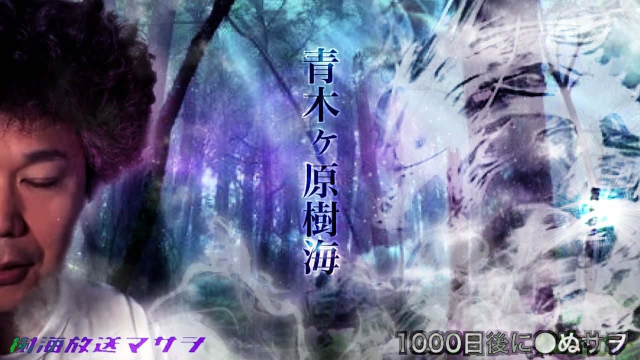 【970日目】ぼっち樹海心霊凸…1000日後に○ぬサヲ
