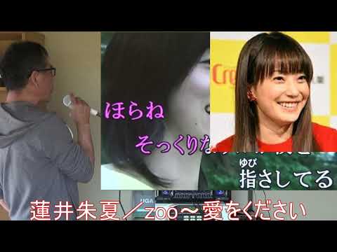 蓮井朱夏／~zoo愛をください（オッサン菅野美穂を歌った）